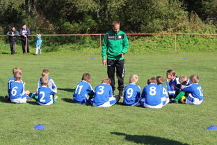 开云kaiyun-五大联赛是否提升边路轮换参与战术决策比重，五大联赛可以换5人