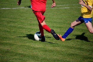 KAIYUNAPP-国际足球俱乐部青训论坛在广州召开，国际足联青训补偿标准